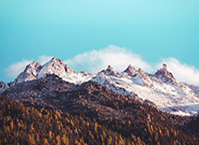 乐鱼官网——开启属于你的精彩娱乐新世界