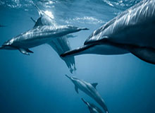 乐鱼官网——开启属于你的精彩娱乐新世界